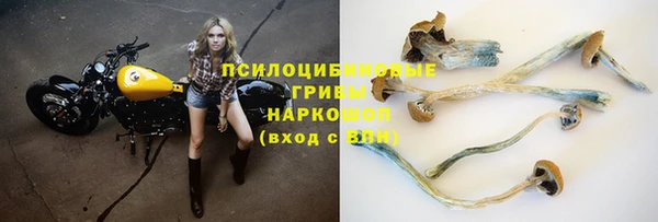 молекула духа Вязники