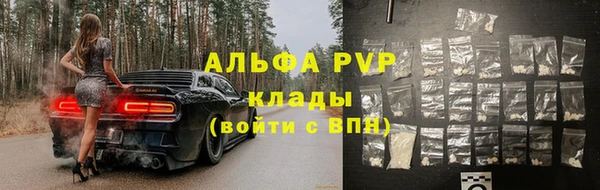 ПСИЛОЦИБИНОВЫЕ ГРИБЫ Вязьма