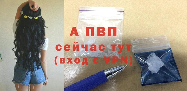 ПСИЛОЦИБИНОВЫЕ ГРИБЫ Вязьма
