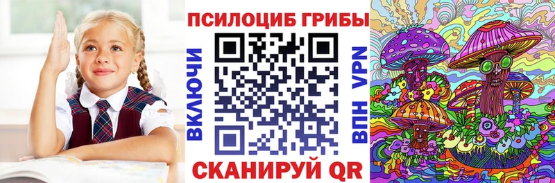 Псилоцибиновые грибы Psilocybine cubensis  дарнет шоп  Мончегорск 