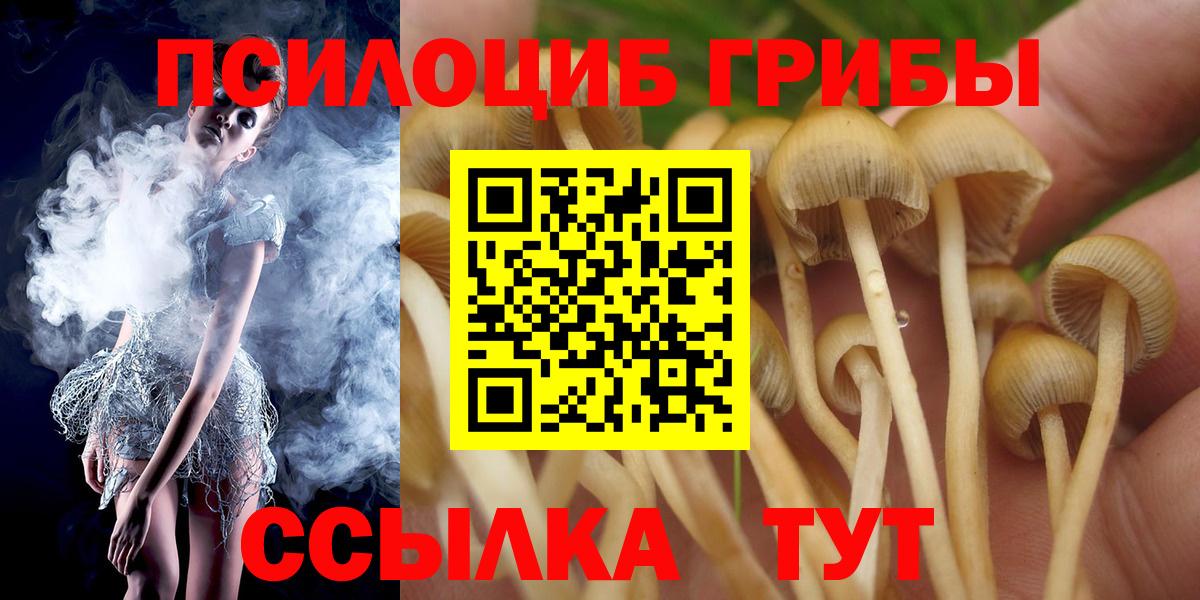 Галлюциногенные грибы GOLDEN TEACHER  Вход с VPN  Мончегорск  Галлюциногенные грибы ЛСД 